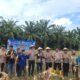 Polres Rokan Hulu Gelar Panen Raya Jagung Serentak, Perkuat Akselerasi Swasembada Pangan Nasional