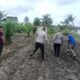 Perkuat Ketahanan Pangan, Polsek Kunto Darussalam Lakukan Pendampingan Petani di Pasir Luhur