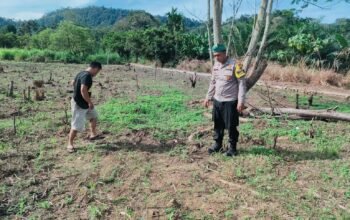 Polsek Rokan IV Koto Perkuat Swasembada Pangan di Cipang Kiri Hulu