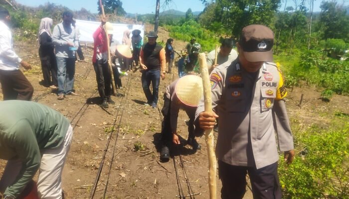 Polsek Rokan IV Koto Turun ke Desa Cipang Kiri Hilir Perkuat Ketahanan Pangan Nasional