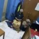 Motor dan Perhiasan Almarhumah Dilaporkan Hilang Saat Rumah Duka, Tiga Orang Ditahan Polisi
