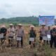 Kapolsek Teluk Meranti Hadiri Panen Raya Jagung Serentak Kuartal II Di Desa Betung