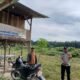 Ketahanan Pangan Nasional Diperkuat, Polsek Tambusai Utara Tanam Jagung di Lahan Desa