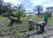 Polsek Kunto Darussalam Kawal Program Swasembada Pangan, Dorong Peningkatan Produksi Pertanian dan Kesejahteraan Masyarakat