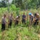 Polsek Rambah Monitoring Perkembangan Tanaman Jagung tang akan di Panen di Desa Kaiti dalam Rangka Swasembada Pangan