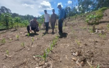 Polisi Cinta Petani, Polsek Rokan IV Koto Perkuat Kolaborasi Pemberdayaan Ekonomi dan Ketahanan Pangan di Desa Cipang Kiri Hilir