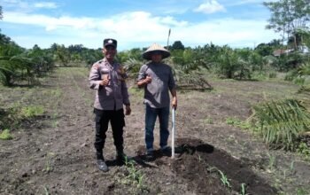 Polsek Tambusai Utara Gerakkan Sistem Pendukung Petani Guna Wujudkan Swasembada Pangan