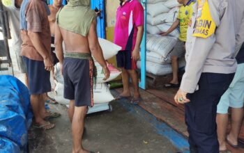 Polsek Tambusai Utara dan Bulog Bersinergi Jaga Keberlanjutan Produksi Jagung PetaniDukung Swasembada Pangan Nasional