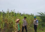 Polsek Rambah Hilir Perkuat Sektor Hulu Pertanian untuk Mendukung Ketahanan Pangan Nasional