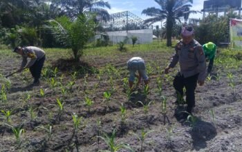 Polsek Kunto Darusalam Dukung Ketahanan Pangan Nasional Melalui Pengendalian Hama Dan Pengelolaan Irigarasi Pertanian di Desa Pasir Luhur