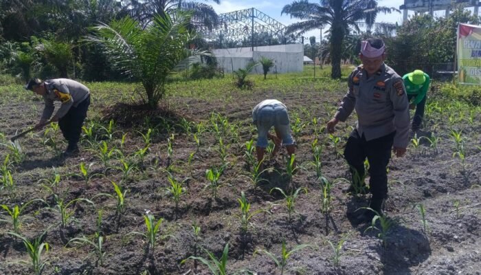 Polsek Kunto Darusalam Dukung Ketahanan Pangan Nasional Melalui Pengendalian Hama Dan Pengelolaan Irigarasi Pertanian di Desa Pasir Luhur