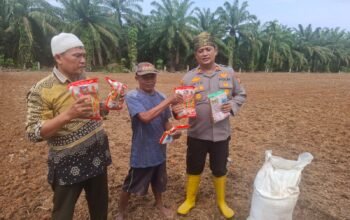 Polsek Rambah Hilir Perkuat Sektor Pertanian Lewat Pendampingan dan Monitoring, Dorong Swasembada Pangan Nasional