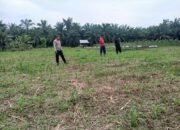 Polsek Rokan IV Koto Perkuat Sektor Hulu Pertanian, Dukung Ketahanan Pangan Nasional Melalui Pemantauan Tanaman Jagung