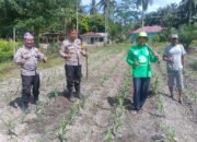 Polsek Kunto Darussalam Dorong Swasembada Pangan Melalui pendampingan di Desa Pasir Luhur