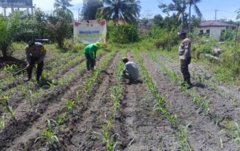 Polsek Kunto Darussalam Perkuat SDM Pertanian Desa Pasir Luhur untuk Swasembada Pangan Nasional