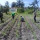 Polsek Kunto Darussalam Perkuat SDM Pertanian Desa Pasir Luhur untuk Swasembada Pangan Nasional