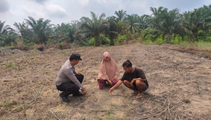 Antisipasi Cuaca Ekstrem, Polsek Rokan IV Koto Pastikan Lahan Jagung Lubuk Bendahara Tetap Produktif Menuju Swasembada Pangan Nasional