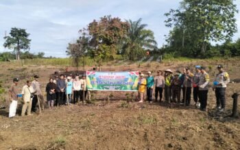 Polsek Rambah Dorong Ketahanan Pangan Berkelanjutan Melalui Penanaman Jagung Hibrida di Desa Koto Tinggi
