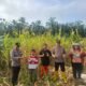 Kawal Panen hingga Penjualan, Polsek Rambah Hilir Pastikan Hasil Jagung Petani Terserap Optimal