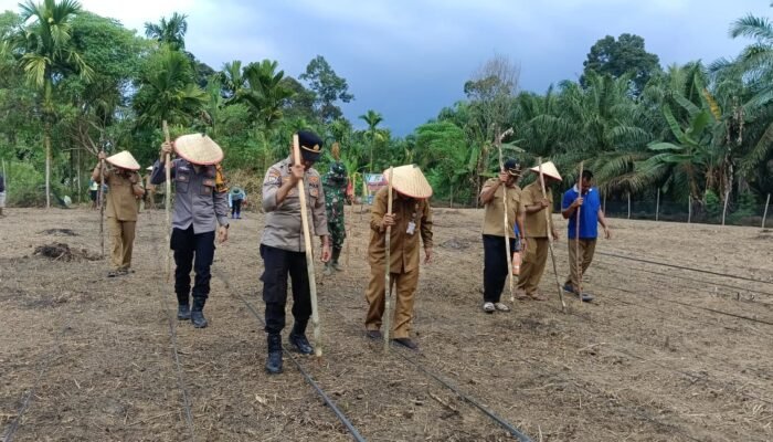 Polsek Rokan IV Koto Optimalkan Lahan Produktif di Desa Tibawan untuk Perkuat Ketahanan Pangan Nasional