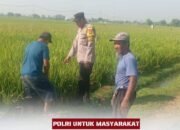 Polisi Hadir di Tengah Petani, Wujud Dukungan untuk Ketahanan Pangan Nasional
