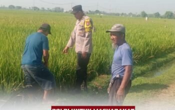 Polisi Hadir di Tengah Petani, Wujud Dukungan untuk Ketahanan Pangan Nasional