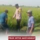 Polisi Hadir di Tengah Petani, Wujud Dukungan untuk Ketahanan Pangan Nasional