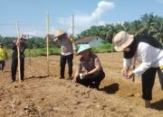 Perkuat Ketahanan Pangan Nasional, Polsek Kabun dan BUMDes Perdana Bakti Tanam Jagung di Desa Giti