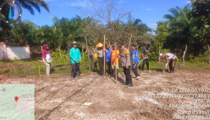 Polsek Rokan IV Koto Bersama Upika Tanam Jagung Kuartal II di Sikebau Jaya, Perkuat Ketahanan Pangan Nasional