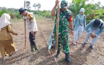 Polsek Rokan IV Koto Bersama Upika Tanam Jagung di Sei Kandis, Perkuat Dukungan terhadap Swasembada Pangan Nasional