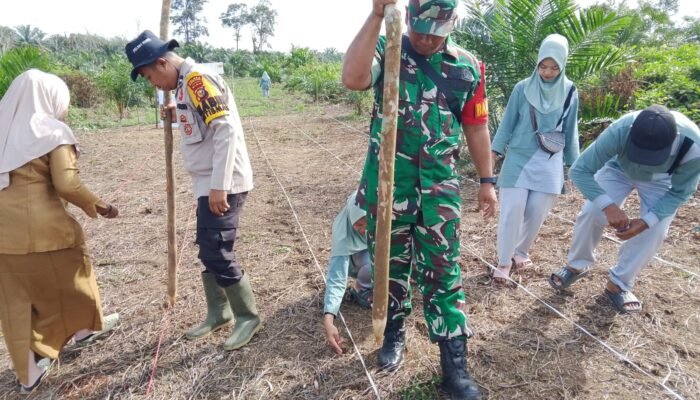 Polsek Rokan IV Koto Bersama Upika Tanam Jagung di Sei Kandis, Perkuat Dukungan terhadap Swasembada Pangan Nasional