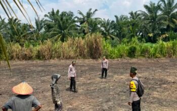 Polsek Rambah Cek Kesiapan Lahan Jagung Monokultur di Bangun Purba Timur Jaya, Optimalkan Lahan Produktif untuk Dukung Swasembada Pangan Nasional