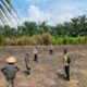 Polsek Rambah Cek Kesiapan Lahan Jagung Monokultur di Bangun Purba Timur Jaya, Optimalkan Lahan Produktif untuk Dukung Swasembada Pangan Nasional