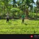 Polsek Rokan IV Koto Kawal Pertumbuhan Jagung Fase Vegetatif di Desa Tibawan, Dukung Ketahanan Pangan Nasional Hingga Panen
