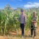 Polres Rokan Hulu Monitoring Jagung Usia 64 Hari, Opimalisasi Program Ketahanan Pangan Nasional
