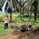 Polsek Kabun Kawal Pengolahan Lahan Jagung, Perkuat Ketahanan Pangan Nasional di Desa Batulangkah Besar