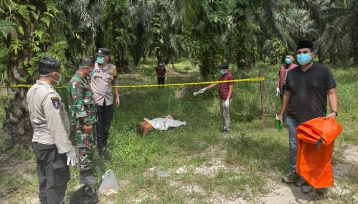 Polsek Tambusai Utara Respons Cepat Laporan Penemuan Jenazah di Mahato