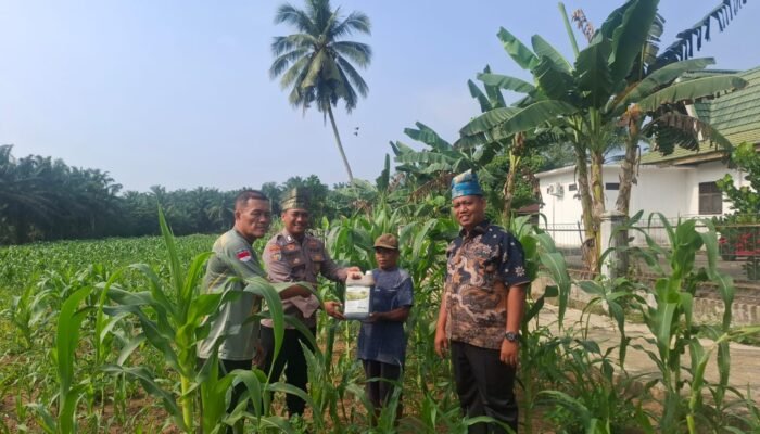 Polsek Rambah Hilir Tingkatkan Pendampingan Petani Rambah Muda Dukung Ketahanan Pangan Nasional