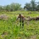Polsek Rokan IV Koto Tingkatkan Pendampingan dan Pengawasan Petani di Air Panas, Dukung Ketahanan Pangan Nasional