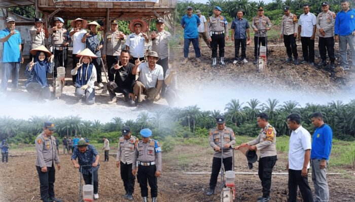 Awal Penanaman Jagung Kuartal III, Polsek Tambusai Utara Perkuat Dukungan Swasembada Pangan