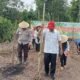Polsek Rokan IV Koto Tanam Jagung Kuartal III, Perkuat Produksi Pangan Nasional