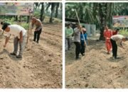 Tanam Jagung Kuartal III, Polsek Kabun Dukung Swasembada Pangan di Batulangkah Besar