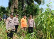 Menjaga Asa Panen, Polsek Tandun Kawal Jagung Ketahanan Pangan