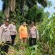 Menjaga Asa Panen, Polsek Tandun Kawal Jagung Ketahanan Pangan