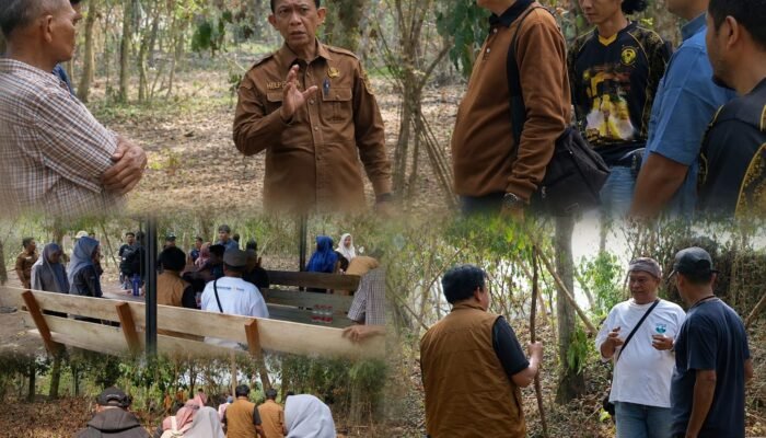Menelusuri Jejak Kerajaan Rambah, Pemkab Rohul dan Tim Ahli Mulai Kajian Pembangunan Istana