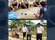 Optimalkan Pembinaan bagi Warga Binaan, Lapas Pasir Pangarayan Tanam 850 Batang Terong Ungu Guna Dukung Ketahanan Pangan