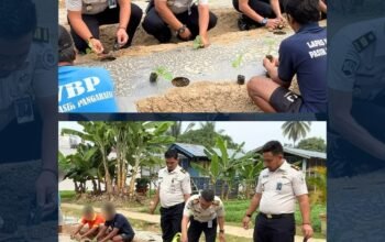 Optimalkan Pembinaan bagi Warga Binaan, Lapas Pasir Pangarayan Tanam 850 Batang Terong Ungu Guna Dukung Ketahanan Pangan