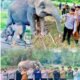 Kado di Awal Tugas, Kapolres Pelalawan Sambangi Bayi Gajah di TNTN