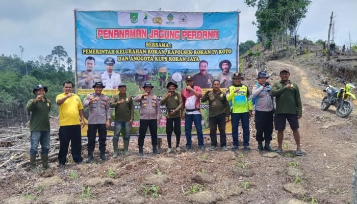 Polsek Rokan IV Koto Dorong Pemanfaatan Lahan untuk Perkuat Swasembada Pangan