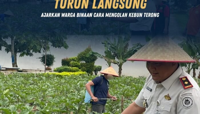 Kalapas Pasir Pangarayan Turun Langsung, Ajarkan Warga Binaan Cara Mengolah Kebun Terong